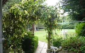 Hosefield Bed And Breakfast